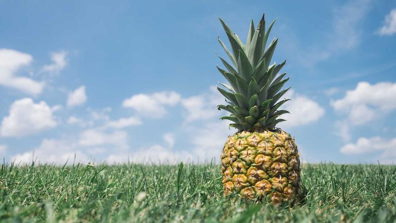 黑料网yandex暗网黑料搜索工具深度解析